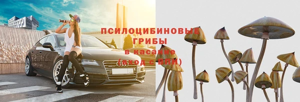 бошки Баксан