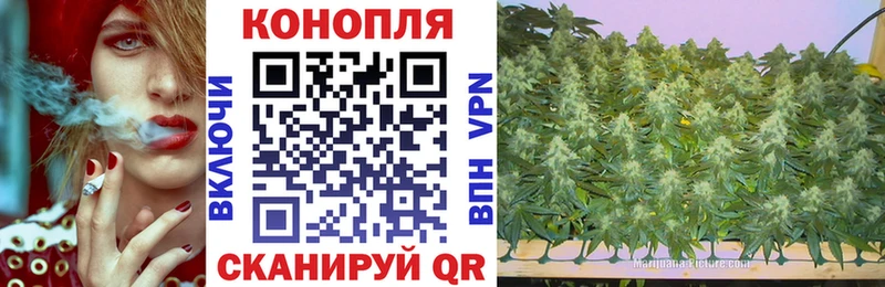 МЕГА маркетплейс Щигры Бошки марихуана VHQ